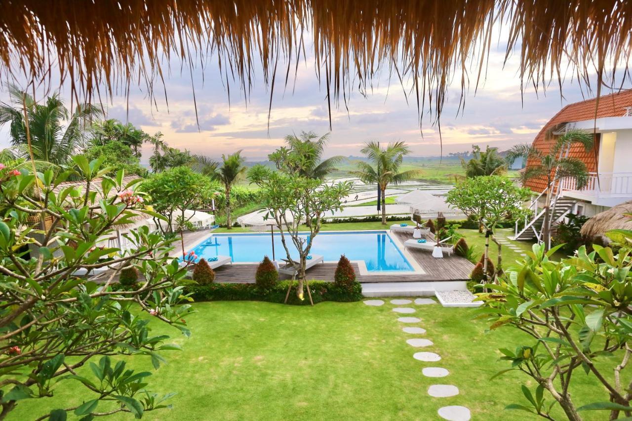 37 Sunset Village Bali 캉구 외부 사진