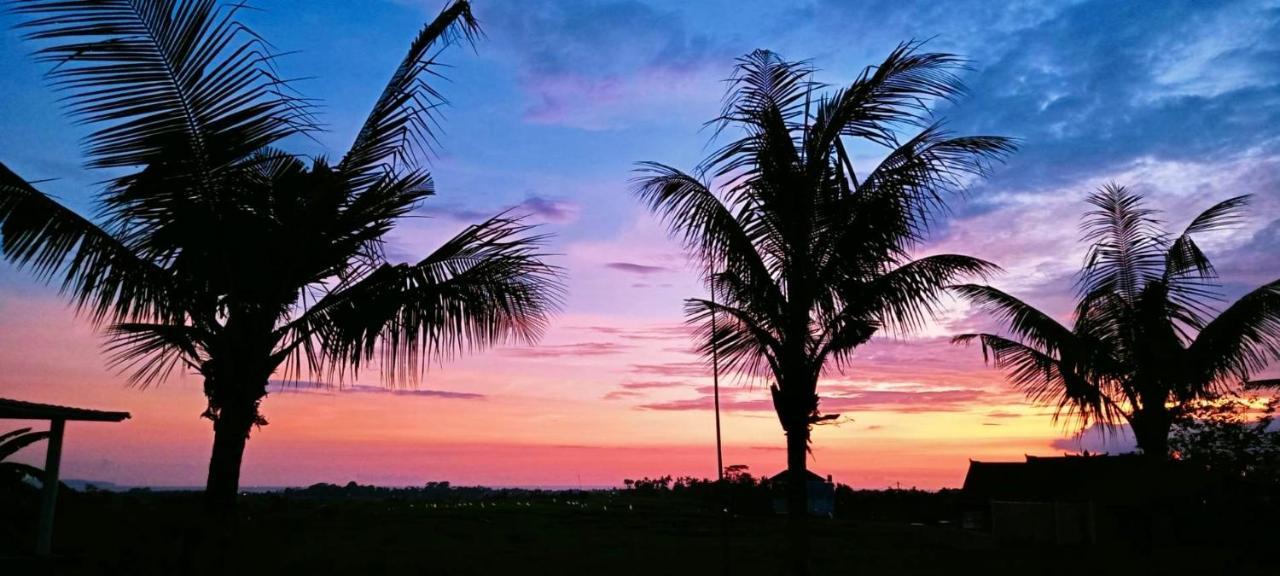 37 Sunset Village Bali 캉구 외부 사진