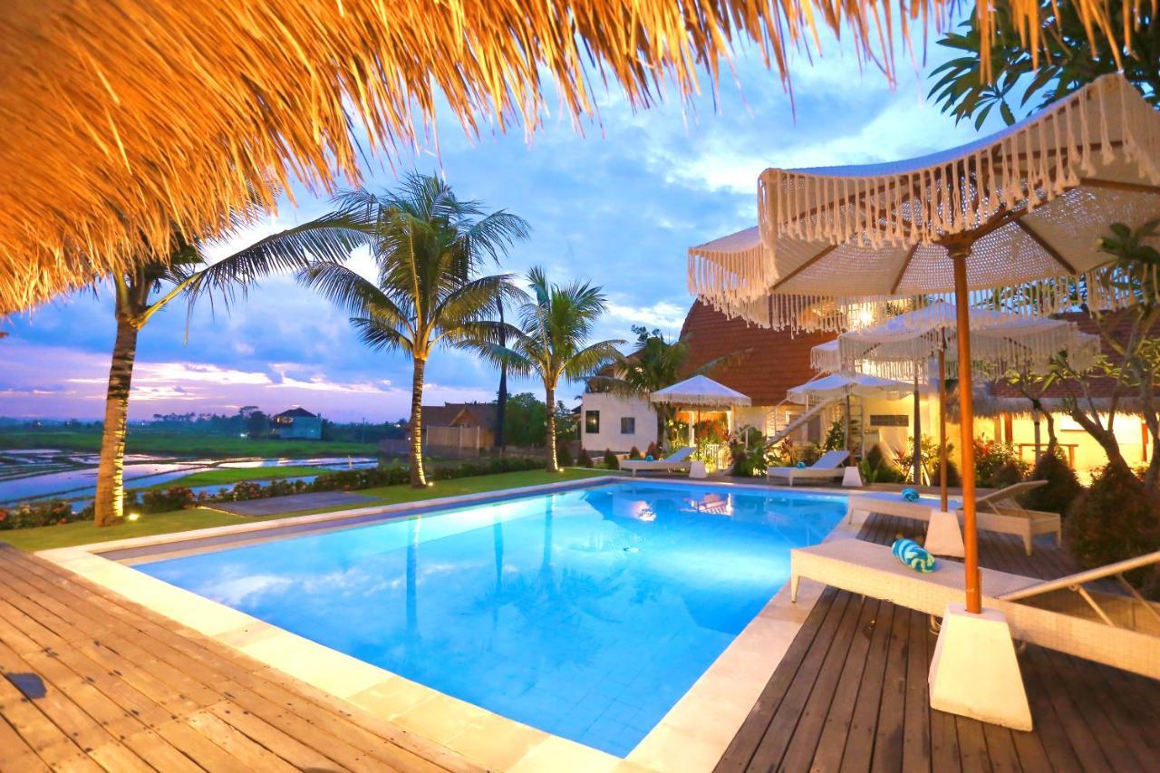 37 Sunset Village Bali 캉구 외부 사진